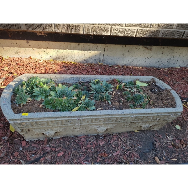 Large Outdoor Planter (36"W, 12"D, 8"H) 