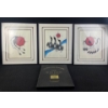 Image 1 : Kurt Flett Northern Lites Promotions 1993 Trio Of Original Navajo Artwork Framed Collection 17"X20"