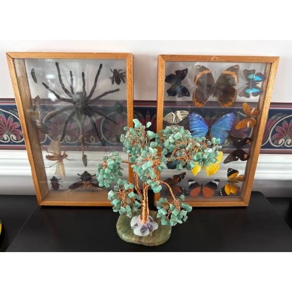 Entomology Taxidermy Mounts ft. Preserved Insects & Green Aventurine Crystal Tree Of Life