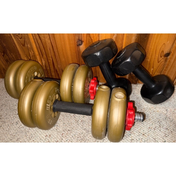 Vintage Home Gym Equipment - Bulging Biceps 