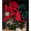 Image 2 : Winter Holiday Collection 