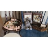 Image 2 : Wooden Dining Chairs, Blue 20 w 37 h, Small Table Teddy Bear Wall Art & more