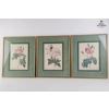 Image 2 : Vintage, Framed Botanical Prints Of Roses After The Original Illustrations 17''*22''INCHES