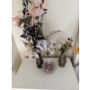 Image 2 : Dried Flower Decor Collection