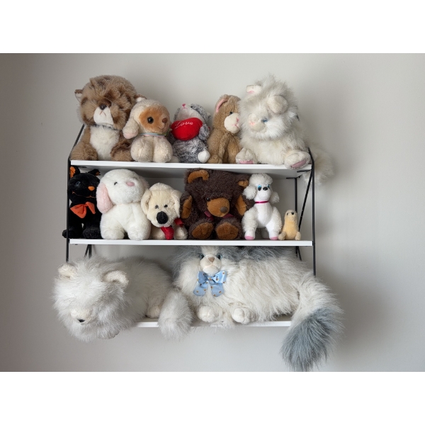 Stuffed Animals Collection
