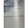 Image 4 : Antique Landscape Art - 19th Century Etching & Grey Scale of Victoria Path 16L