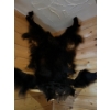 Image 1 :  Bear hide ready to make into a rug