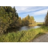 Image 8 : 108 ACRES | FARM • RECREATION • INVESTMENT Located in Clearwater County Alberta