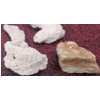 Image 14 : Coral and Fossil Fragments