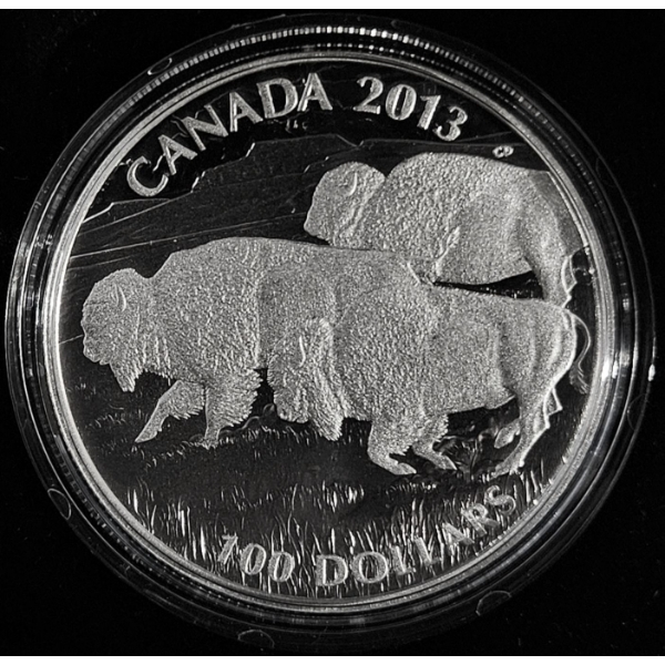 2013 $100 Bison Stampede - 99.9% Fine Silver Coin - #1