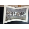 Image 3 : Alex Halliburton 3 Copies of Campbell River Collies 17.5Tx28.5W