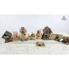 Image 1 : Whimsical Tea Vintage Frog-Themed Collectibles, Ceramic Jars, Trinket Boxes, And Decorative Houses. 
