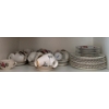 Image 1 : Fine Bone China Collection Including 'Royal Albert American Beauty' 'Paragon' & More