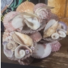 Image 2 : Collection of Home Decor  Sea Shell Bouquet & World Globe (cracked Base) Green Vase