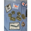 Image 2 : Military Badges and Pins Including Canadian RAF Insignia