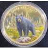 Image 2 :  2017 The Bold Black Bear $20 Fine Silver Coin