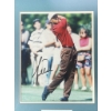 Image 8 : Framed Tiger Woods Autographed Photo With Certificate of Authenticity