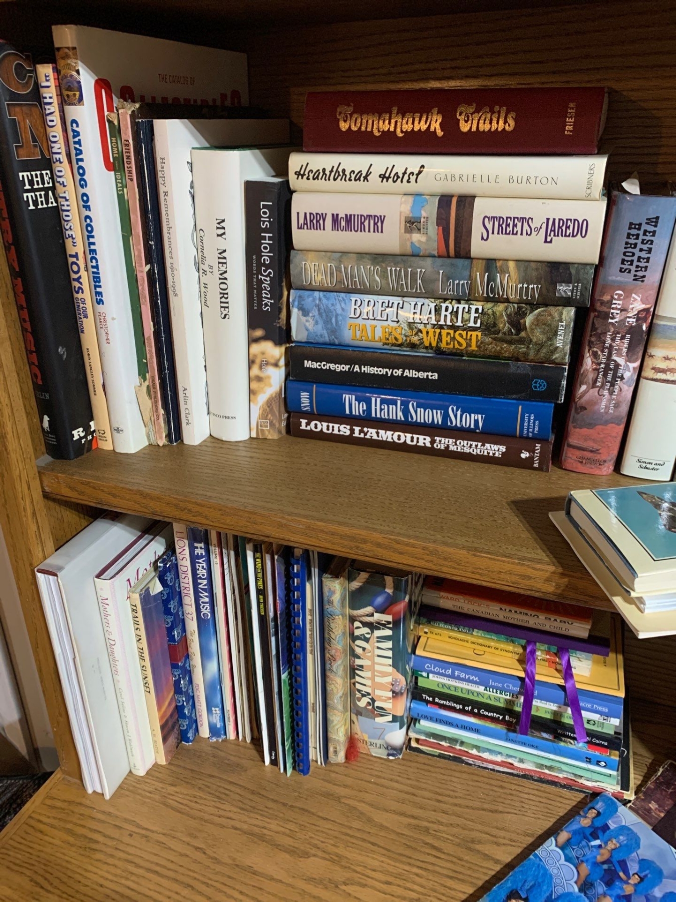 Interest Collection Image Assorted Interest Book Collection - New & Old - Beck Auctions Inc.