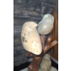 Image 4 : Carved Soapstone Birds on Wooden Tree- Base 9 X 6, 11 T 