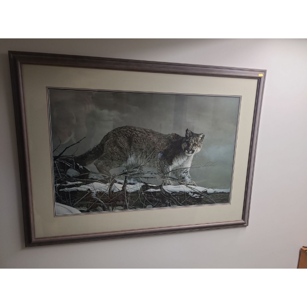 Charles Frace Wildcat numbered print 2684 of 3750 - ( 44W, 33T) 