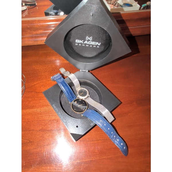 Cardinal Watch with Blue Leather Strap, Skagen Watch with Chainmail Type Strap