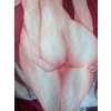 Image 6 : Assorted Cannibas Smoking Accessories w/ Adults Only Rias Gremory Body Pillow Cover 