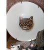 Image 4 : Decorative Cat Figurines and Plates