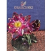 Image 4 : Swarovski Crystal Lotus Flower Figurine With Box and Documentation