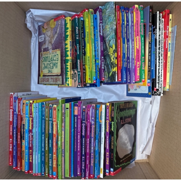 Children's Scholastic Book Collection