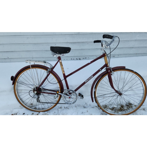 -Raleigh Carbospec Bicycle