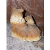Image 6 : Collie Dog Resin Figurines Set