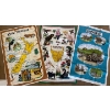 Image 3 : Bundle of Tapestries & Souvenirs From Around The World 