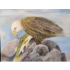 Image 2 : Eagle and Trout Painting on Canvas 24 inch x 30 inch