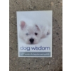 Image 4 : K9 Essentials - Busy Buddy Kong Toy Neon Orange Flyers Food & Hydration Bowls