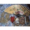 Large Asian Wall Fan 49 W, 26 T, Triangular Wall Decor 21 T and More! 