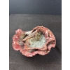 Image 3 : Mid-Century Pair of Italian Conch Bowls 11”