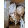 Image 1 : Houseables Disarticulated Human Skelton.  Also incl Anatomical Skeletal System Poster
