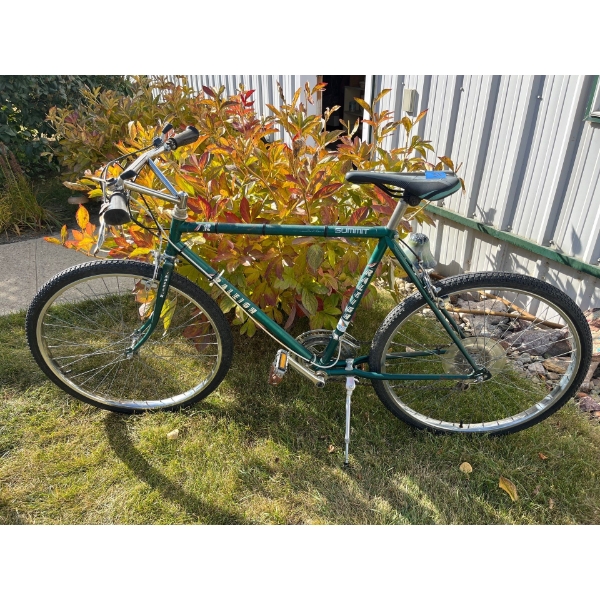 vintage RALEIGH Summit mountain bike