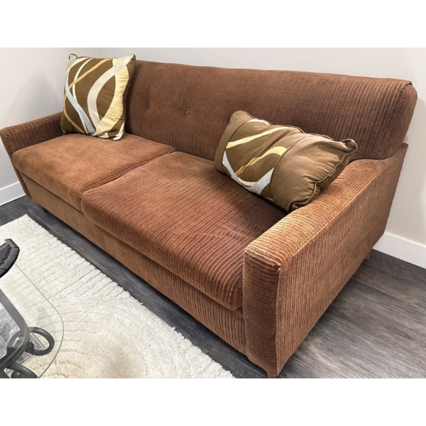 Mid Century Pull Out Couch/ Hide-A-Bed w/ Two Cushions  53x30x44"tall