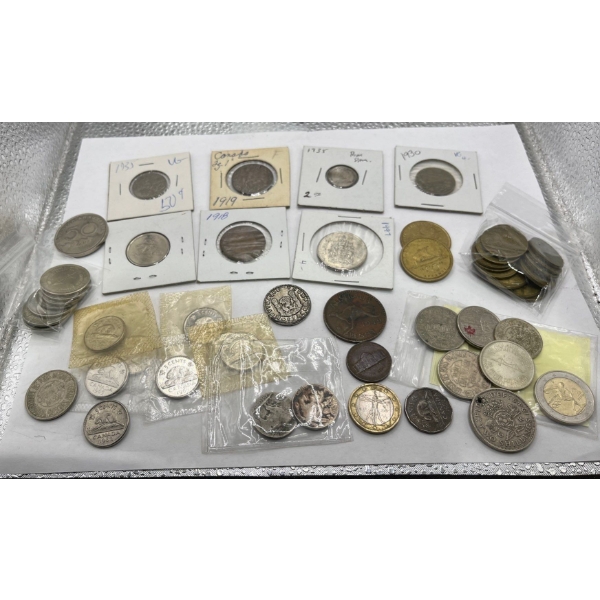 Collection of Foreign and Domestic Coins