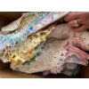 Image 6 : large collection of doilies tablecloth, napkins, all handmade with a variety of colours and styles