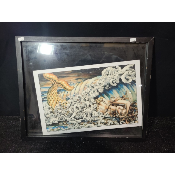 "The Mermaid of Morpheus" 17 x 11 Printed, Includes Frame 21 x 17/ No Matting, Artist Illegible