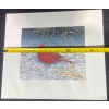 Image 6 : Randy Fehr "Red Cardinal" Signed Print