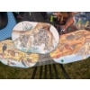 Image 4 : Disney & Pixar Collectable Place Mats With Talking World Globe W12 H17