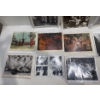 Image 2 : Collection of Stills from Tarzan