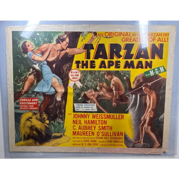 Tarzan The Ape Man starring Johnny Weissmuller Movie Poster 28Wx22H