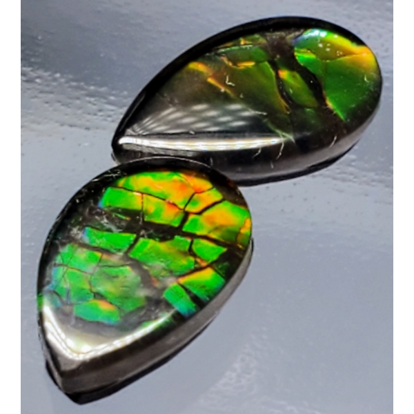  Ammolite Pair (2.7 ct total, 9×7×2.2 mm)