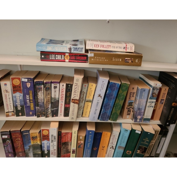 Content of Shelves- Books: Jack Whyte, Diana Gabaldon, 
