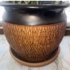 Image 4 : 6 Foot Tall Bamboo Plant in Textured 2 Tone Planter 