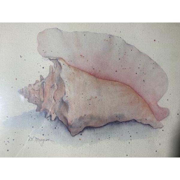 Shells Painting by Dorris Morgan (13.75 x 10.75" Before Frame)
